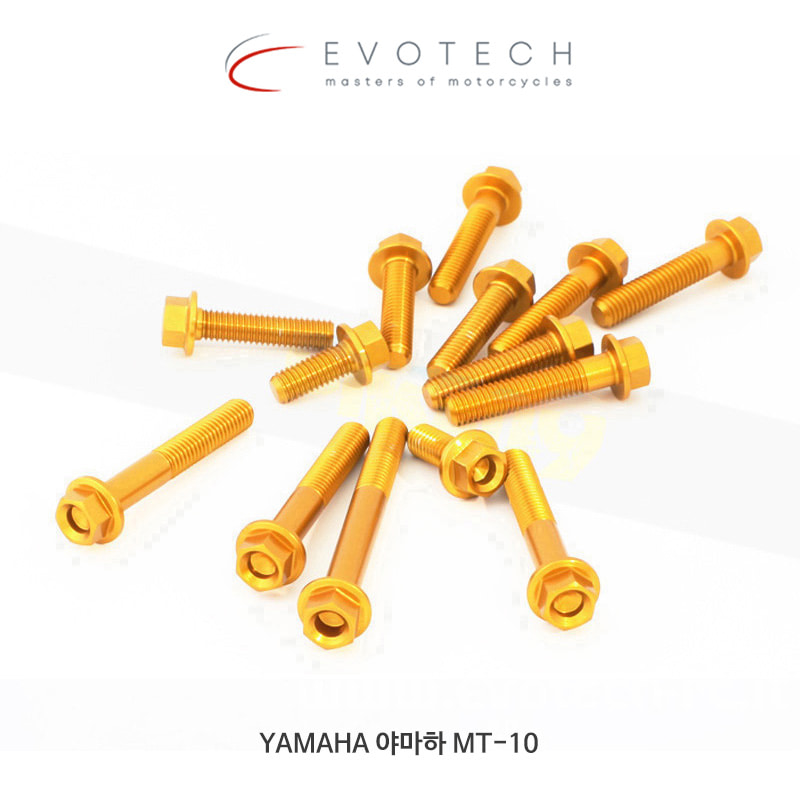 에보텍 이탈리아 YAMAHA 야마하 MT10 (16-18) 엔진 볼트 킷 KVM-0221