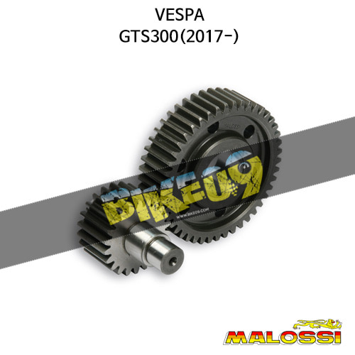 말로시 베스파 VESPA GTS300(2017-) SECONDARY GEARS HTQ z 22/45 기어 6714844