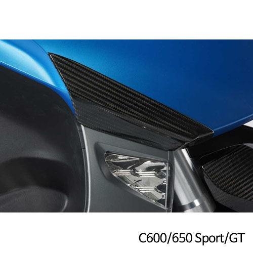 분덜리히 BMW 모토라드 C600 C650 Sport GT 프론트 페어링 프로텍터 카본 41540-000
