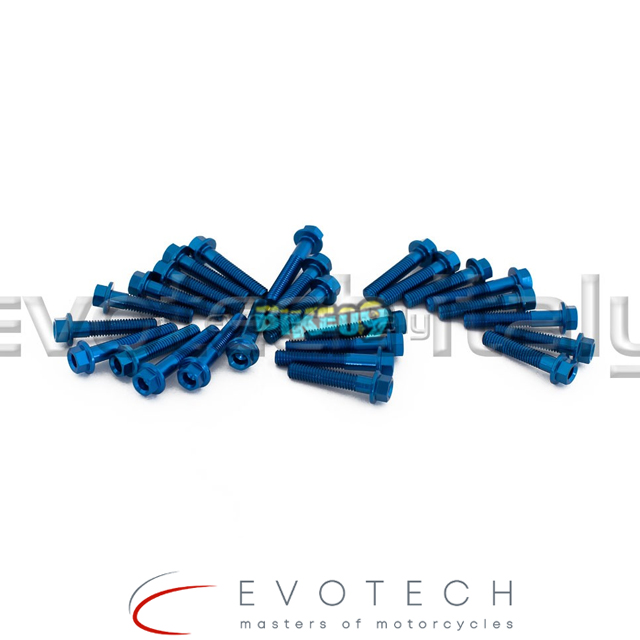 에보텍 이탈리아 트라이엄프 스피드 트윈 19 엔진 볼트 키트 (색상옵션 : 레드, 블랙, 블루, 골드, 실버) - 오토바이 튜닝 부품 KVM-0711