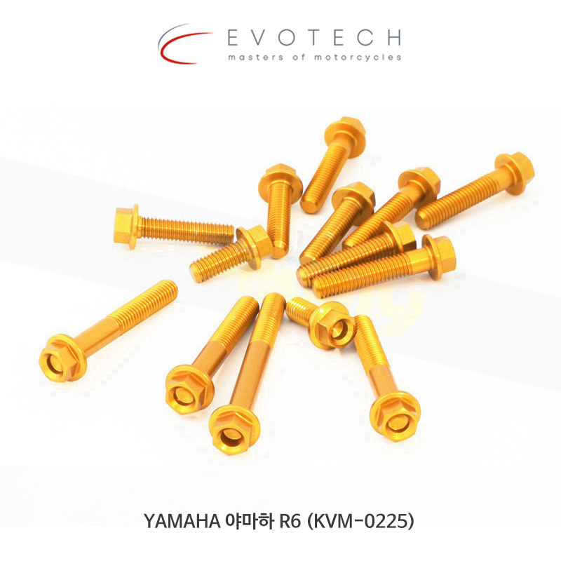 에보텍 이탈리아 YAMAHA 야마하 R6 (2017) 엔진 볼트 킷 KVM-0225