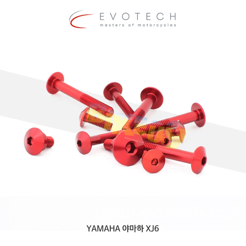에보텍 이탈리아 YAMAHA 야마하 XJ6 (09-15) 페어링 볼트 킷 KVF-0212