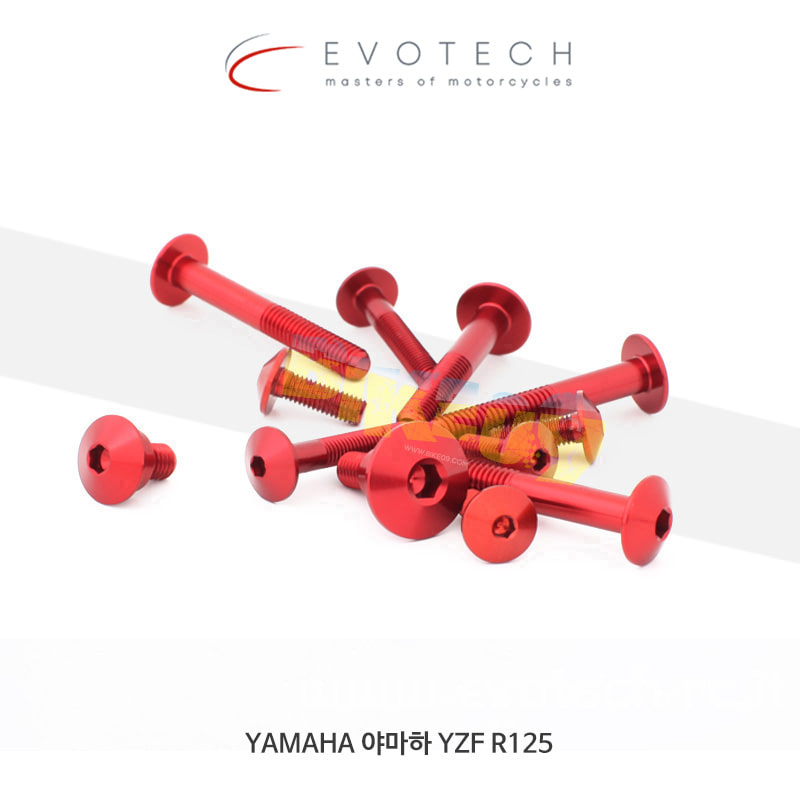 에보텍 이탈리아 YAMAHA 야마하 YZF R125 (14-16) 페어링 볼트 킷 KVF-0201